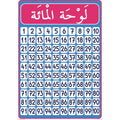 פלקט לוח המאה -ערבית