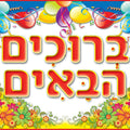 פלקט- ברוכים הבאים מנויילן