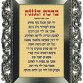 פלקט- ברכת הגננת מנויילן