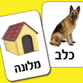קלפים- היכן אני גר