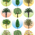 מדבקות עצים - 30 מ"מ