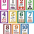 ערכת כמות וספרה- ערבית