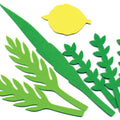 גזירות סול 4 המינים