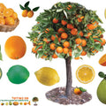 כרזה - מה בפרדס