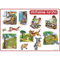 פלקט הלביבה שהתגלגלה