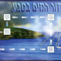 פלקט מחזור המים בטבע