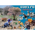 פלקט ט"ו בשבט חג האילנות