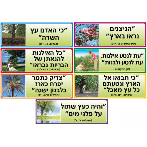 ערכה פתגמים טו בשבט