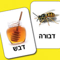 קלפים - מי נותן מה?