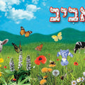פלקט אביב