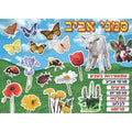פלקט סמלי אביב