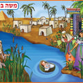פלקט משה בתיבה