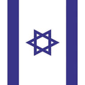 פוסטר קטן דגל ישראל