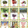 ערכת שבעת המינים