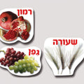 כרזה שבעת המינים