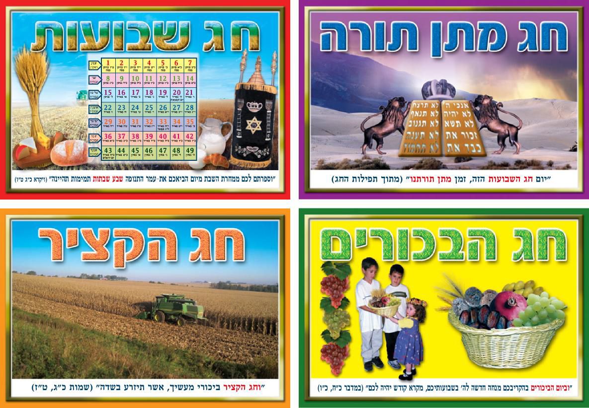 ערכת 4 שמות החג