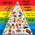 פלקט פירמידת המזון- ערבית